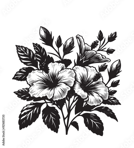 native hibiscus vector style,silhouette vector,black and white color photo