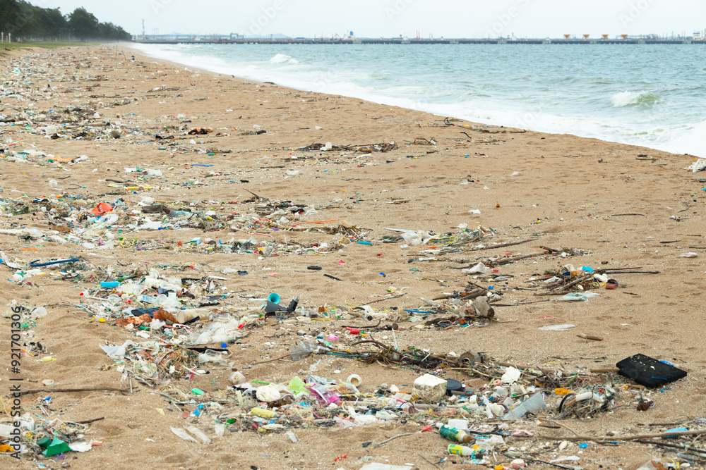 Trash Garbage washed up on the beach, Dirty sea beach trash, plastic cups and plastic bags at the beach. environmental ocean and shore problem. Trash Garbage washed up on the beach, Dirty sea beach trash, plastic cups and plastic bags at the beach. environmental ocean and shore problem.