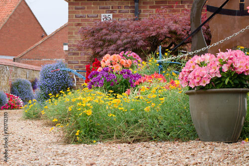 Mixed summer flowers in a garden photo