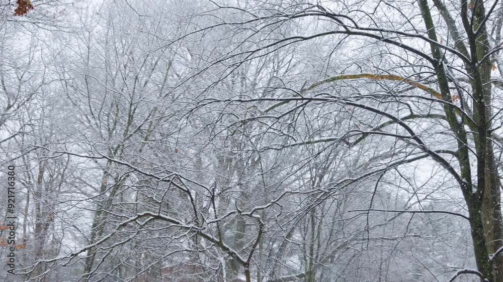 Handheld panning shot of thick snow falling in a winter forest. Shot in 4k