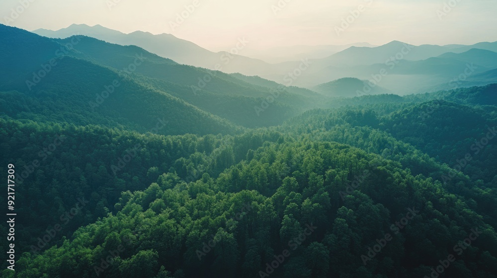 Naklejka premium Aerial perspective of a mountain range with a dense forest, clear sky area for text
