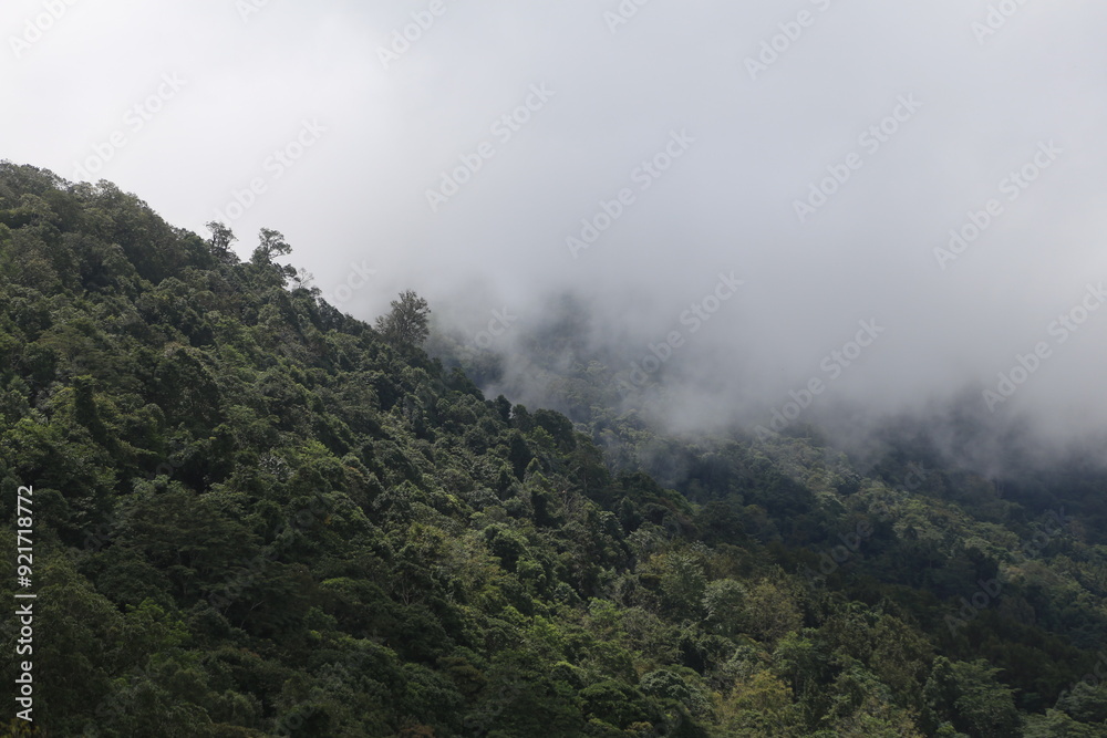 Mountain View and Sea Mist in the morning Mountain View and Sea Mist in the morning
