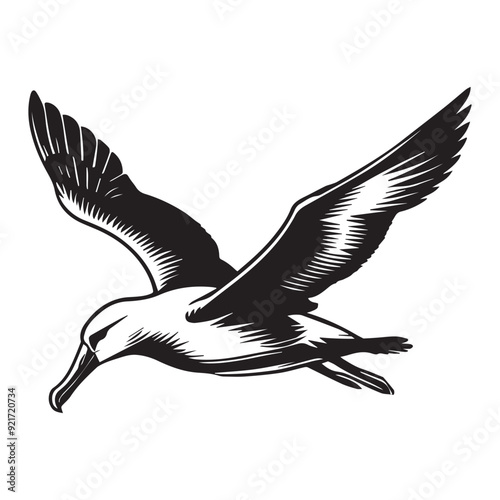 Albatross silhouette, Diomedeidae Bird Clipart, A Albatross Skimming illustration in black and white
