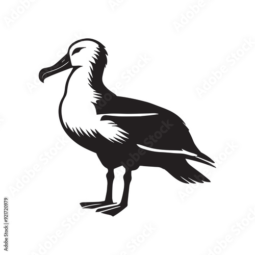 Albatross silhouette, Diomedeidae Bird Clipart, A Albatross with Wings Closed illustration in black and white