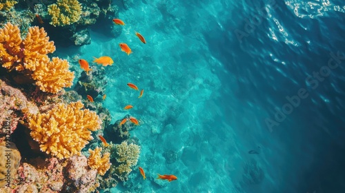 Fototapeta Naklejka Na Ścianę i Meble -  Top view of a vibrant coral reef beneath clear sea water with fish swimming, leaving space for text around the reef.