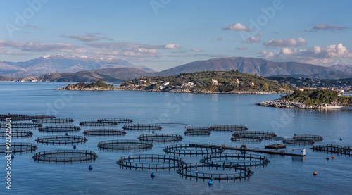 Sea fish farm cages and fishing nets, farming dorado, sea bass with marine landscape and mountains in the background