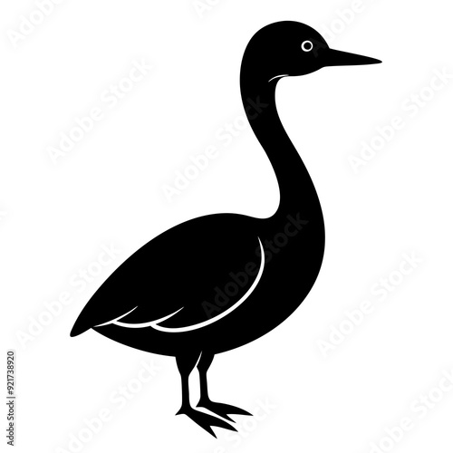 Grebe bird silhouette vector