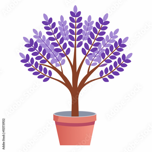 lavender tree in pot vector