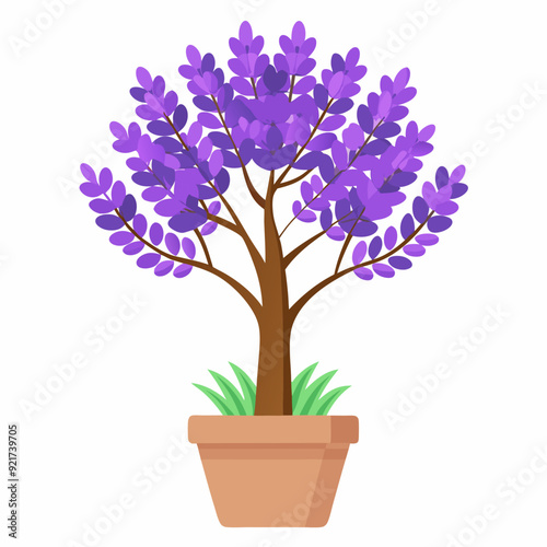 lavender tree in pot vector