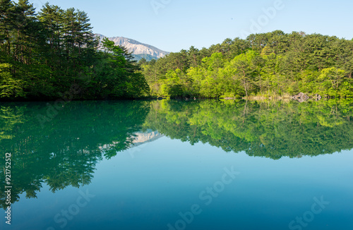 池に映る森の木々と冠雪した山
