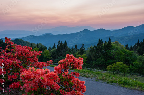 夕焼けの赤い空の手前に真っ赤なツツジ