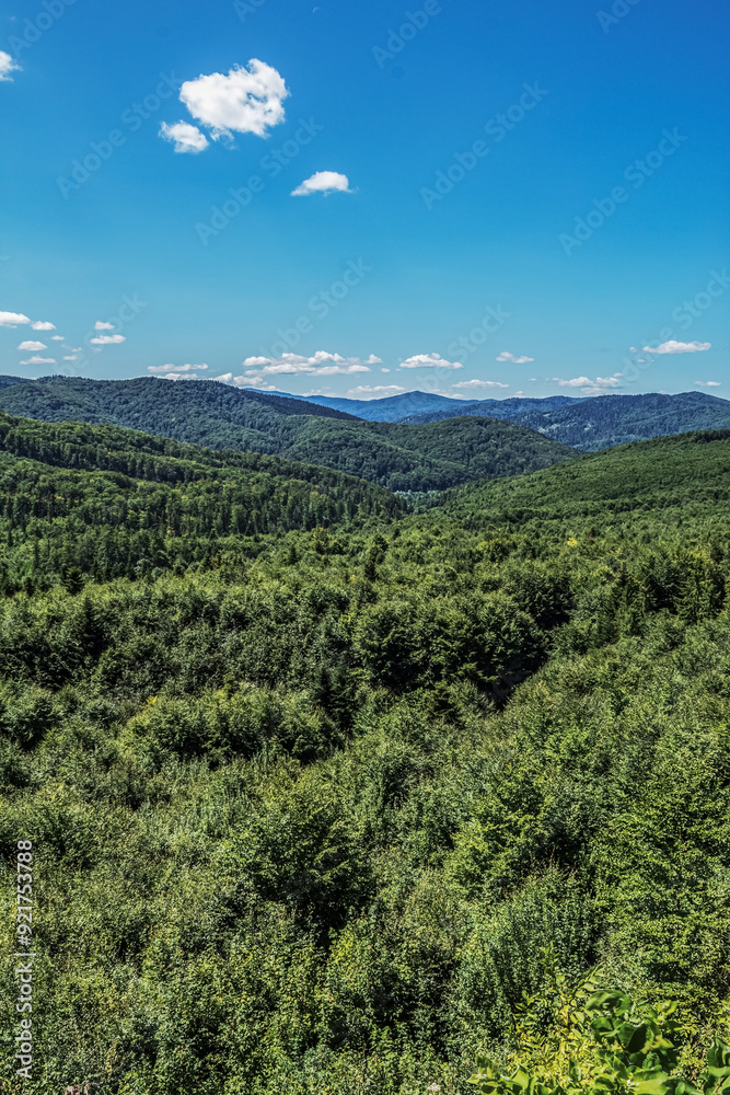 Obraz premium Landscapes - Forest - Europe, Romania, Suceava region