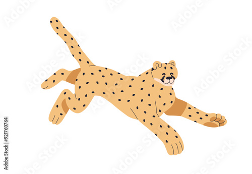 Happy cheetah running. Cute funny leopard, wild feline in action, motion. Ado...
