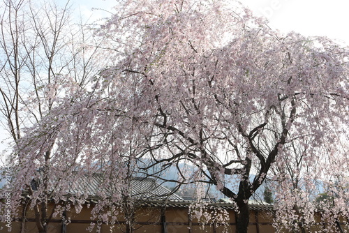 真田邸