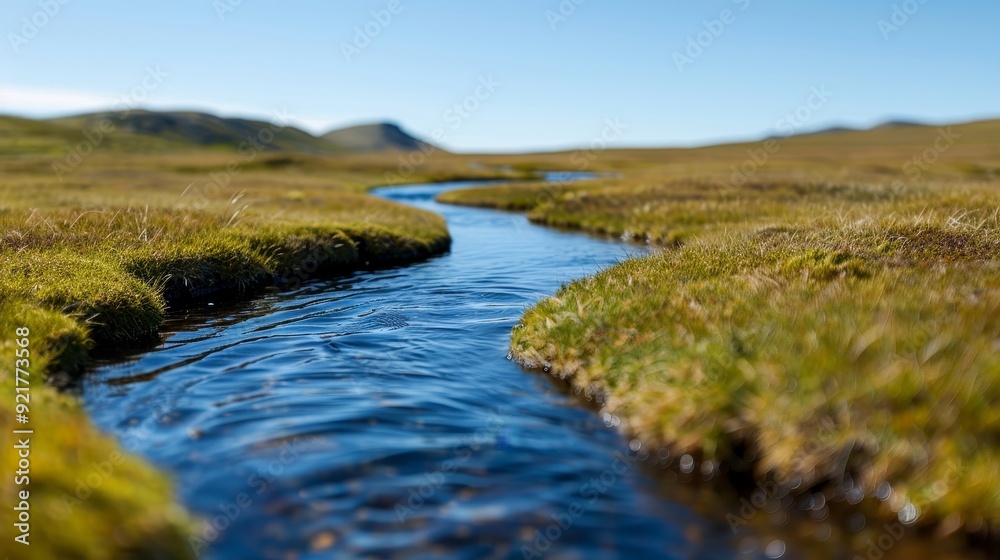 Calm stream winding through soft landscape with copy space, focus on all objects, deep depth of field Calm stream winding through soft landscape with copy space, focus on all objects, deep depth of field