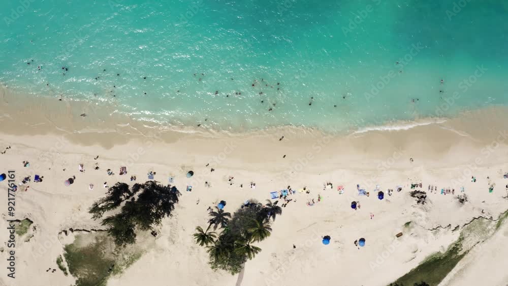 Top down drone shot of tourists sunbathing on Hawaii's shoreline. Top down drone shot of tourists sunbathing on Hawaii's shoreline.
