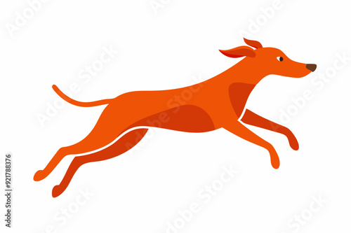 Cute Jumping Dog Vector Illustration photo