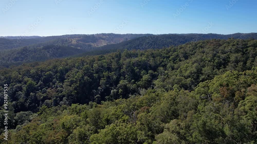 Sweeping Forests View At Falls Lookout And Bulls Falls Mountain Hike In Mount Mee, Queensland, Australia. Aerial Drone Shot Sweeping Forests View At Falls Lookout And Bulls Falls Mountain Hike In Mount Mee, Queensland, Australia. Aerial Drone Shot