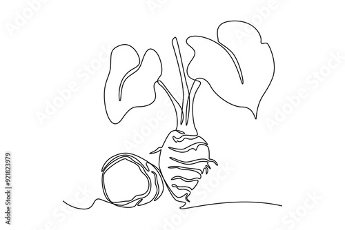 Single one line drawing of whole healthy organic taro for gardening logo identity. Fresh tropical plant edible corm concept root vegetable icon. Continuous line draw design graphic vector illustration