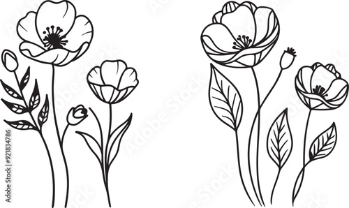 illustration of tulips