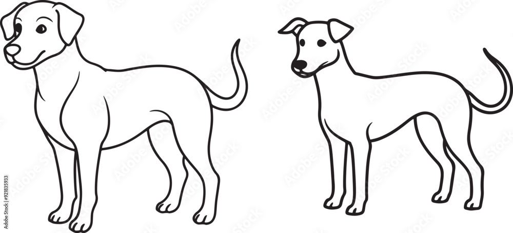 Obraz premium black and white dog