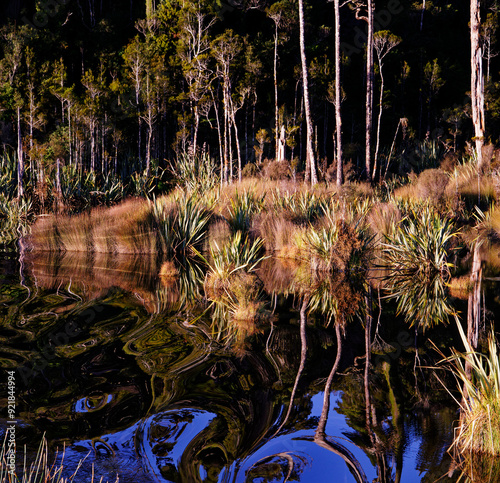 Mahinapua Creek leading to Lake Mahinapua, Hokitika, west coast, south island, Aotearoa / New Zealand. photo