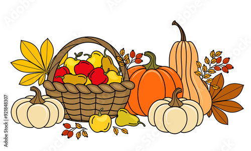 Autumn harvest of pumpkins and apples in a wicker basket vector illustration