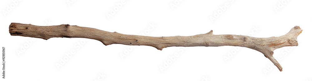Tree stick isolated on white background