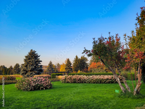 An incredibly beautiful meadow in the botanical garden