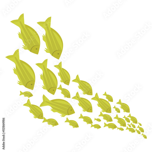 School Of Fish