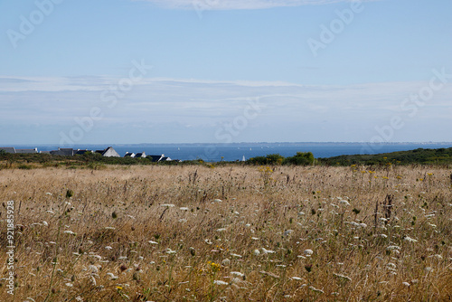 Paysage de Belle-ile en mer photo