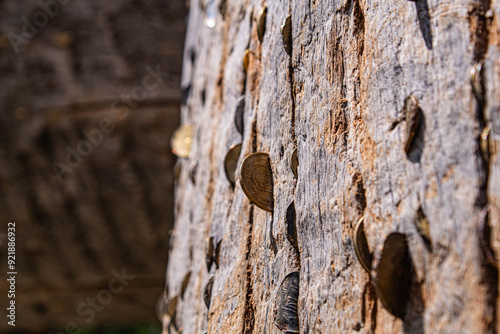 close up of old wooden door