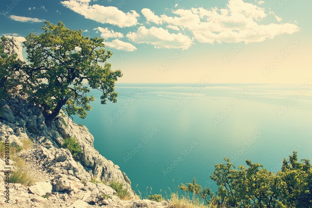 Naklejka premium Serene landscape featuring a rocky cliff, lush vegetation, and tranquil waters under a bright sky with fluffy clouds.