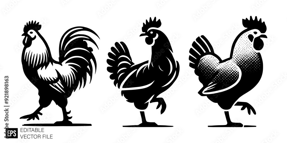 Fototapeta premium set of chicken vector illustration black and white silhouette graphic design template