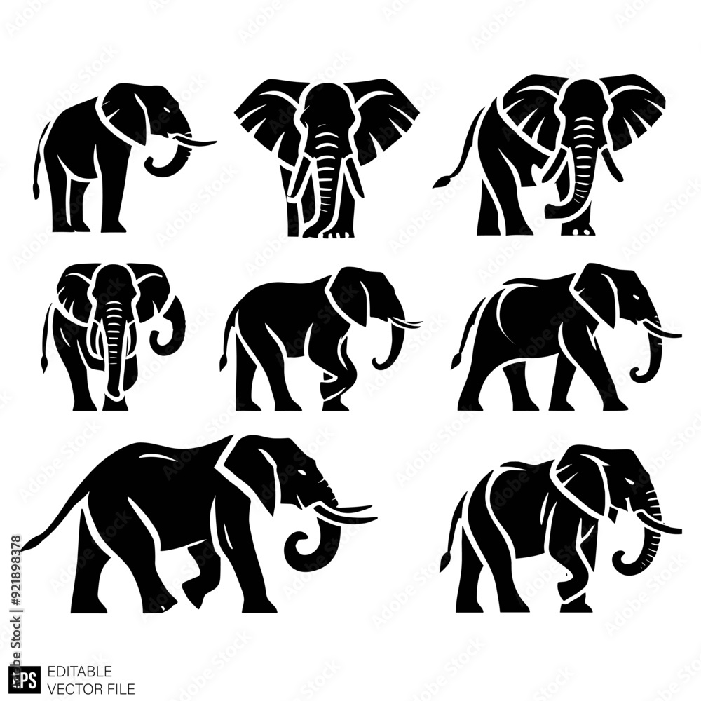 Obraz premium set of elephant vector illustration black and white silhouette graphic design template