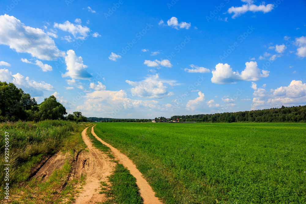 Dirt road along green farm field in countryside Dirt road along green farm field in countryside