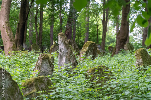 Kirkut w Lesku Macewy  photo