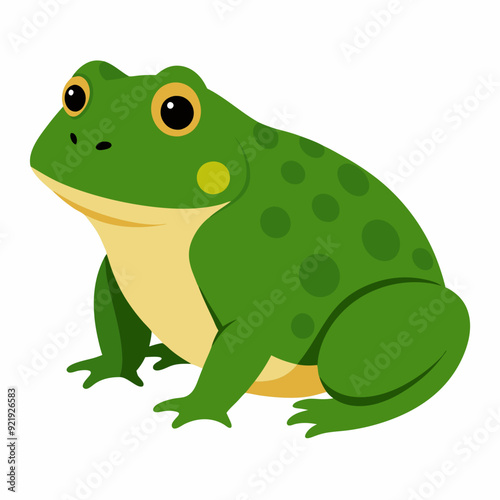 American Bull frog vector artwork