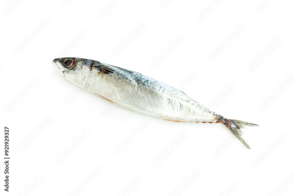 Mackerel fish isolated on white background, Seafood, Saba fish Mackerel fish isolated on white background, Seafood, Saba fish
