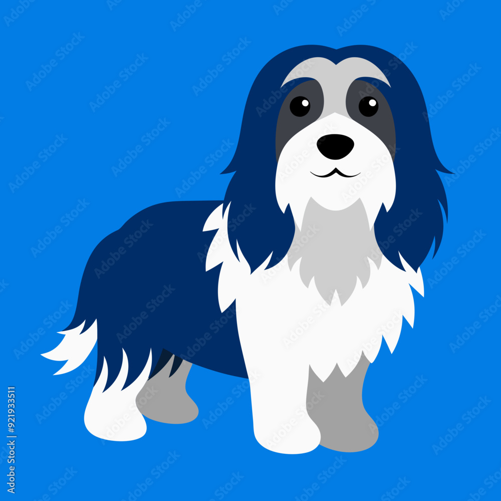 Havanese dog vector illustration Havanese dog vector illustration