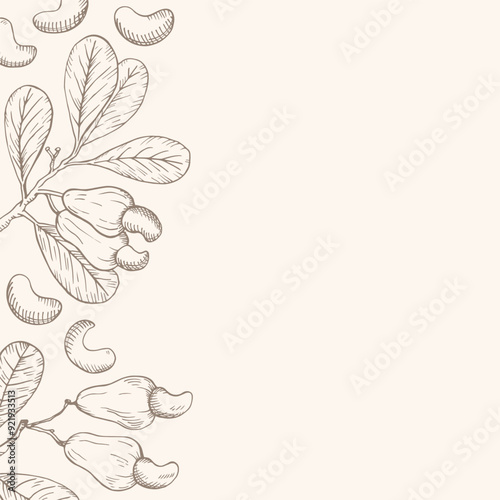 Hand drawn background card with Cashew nuts. Engraved vector illustration sketch with nutty plant branches. The images are created without the use of any artificial intelligence software at any stage