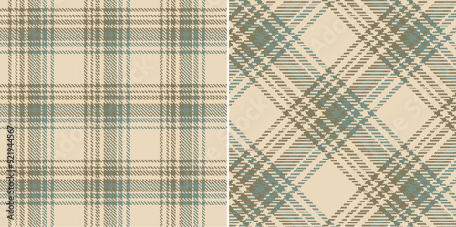 Vector checkered pattern. Tartan, textured seamless twill for flannel shirts, duvet covers, other autumn winter textile mills. Vector Format