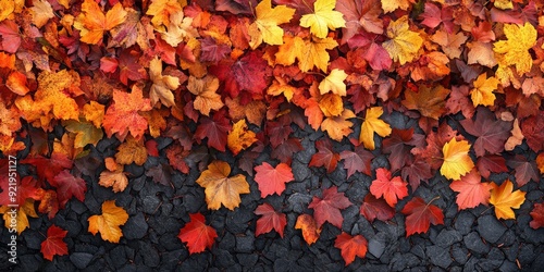 Autumn Harvest Display with Rich Colors and Textures