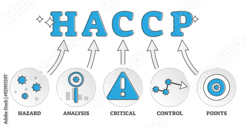 HACCP labeled food control standard explained meaning outline diagram concept, transparent background. Ingredients preventive safety and sanitary minimum system.