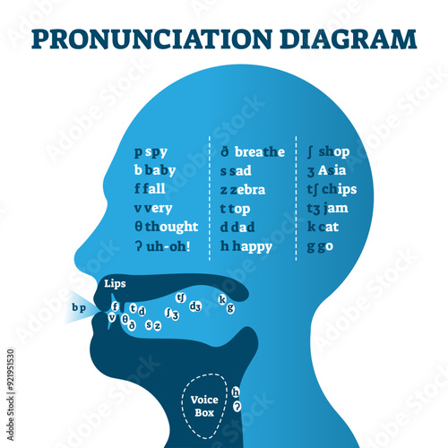 Pronunciation diagram chart with letters and corresponding sounds, illustration educational info graphic, transparent background. Mouth cavity with lips and tongue correct positions example drawing.