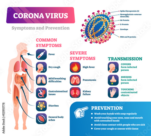 Corona virus COVID-19 outbreak important information, illustration infographic, transparent background. Human disease symptoms, prevention recommendations and transmission dangers.