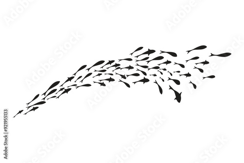 Dynamic Black flock of swimming fish