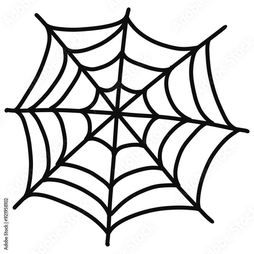 spider web