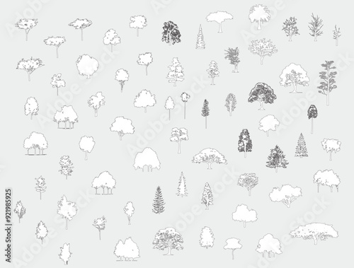 Minimal style cad tree line drawing, Side view, set of graphics trees elements outline symbol for architecture and landscape design drawing. Vector illustration in stroke fill in white. Tropical, oak
