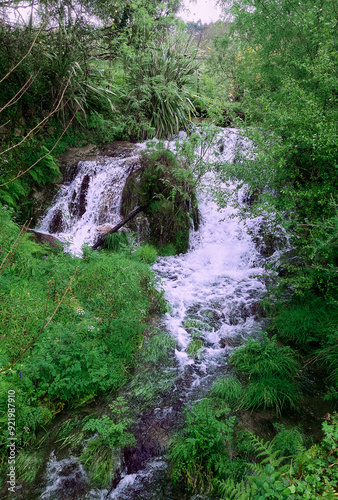 Waterfall in green surrounding, no people
